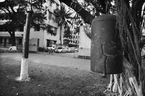 祝母校120周年华诞快乐,祝贺母校80周年生日快乐