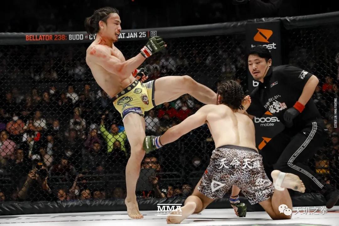 这招横扫PRIDE擂台，却成为八角笼中最禁忌的必杀技，没有之一