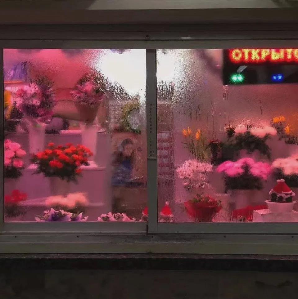 微信喝奶茶背景,多喝奶茶会有才华图片