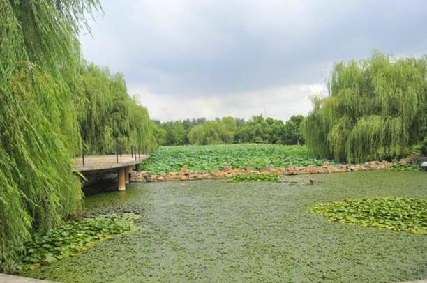 南大金陵学院终止办学,金陵学院停办学生怎么办