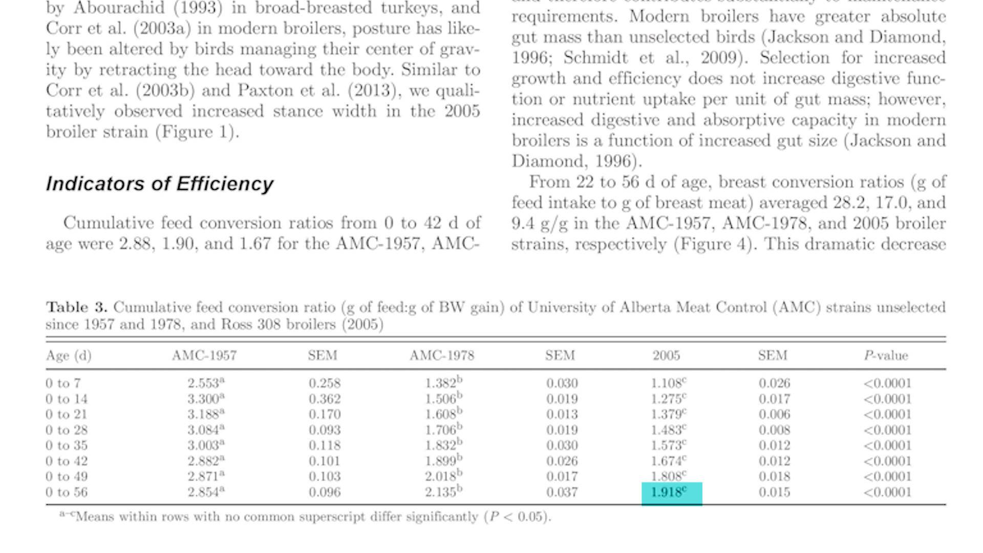 速生鸡与白羽鸡是什么,白羽鸡养殖技术和方法图解