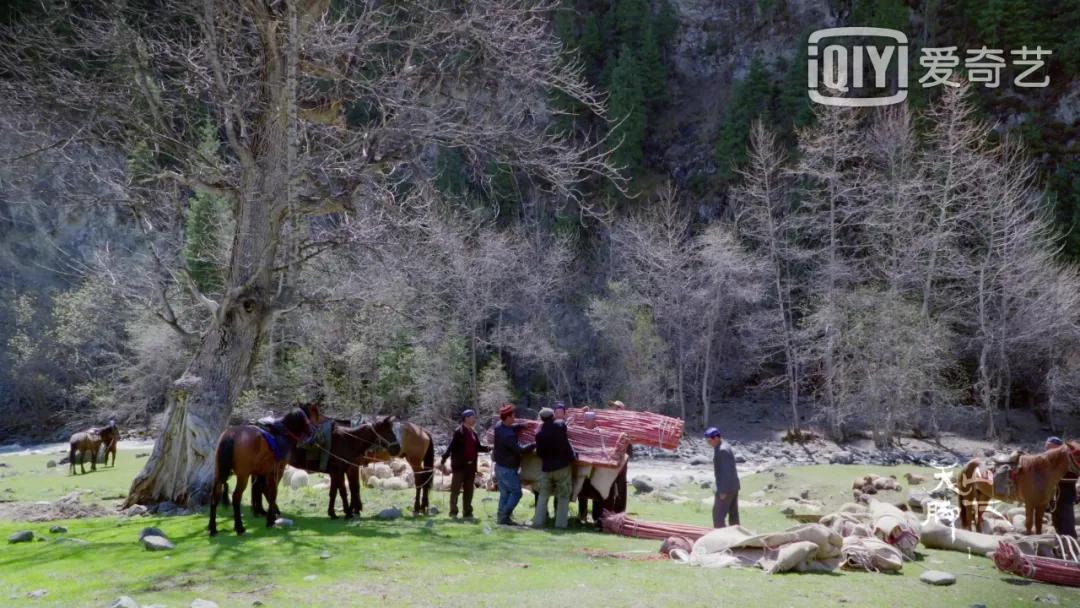 我国旅游日,中国旅游日5.19意义