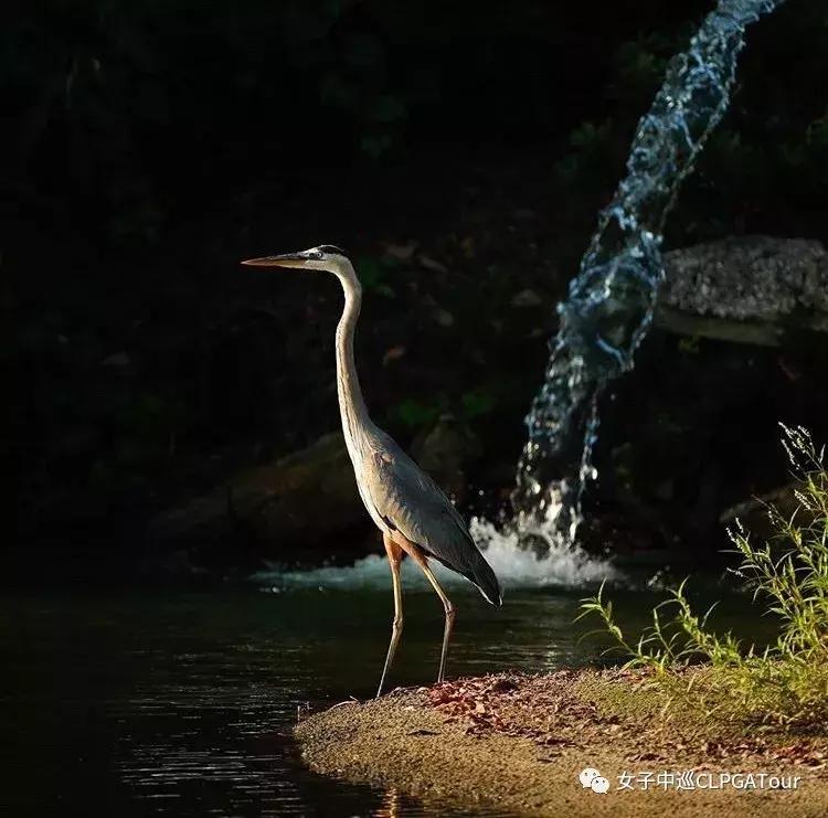 鐞冪涓嶅厑璁稿仛鐨勪簨,鐞冪涓轰粈涔堝彲浠ョ┛瑁欏瓙