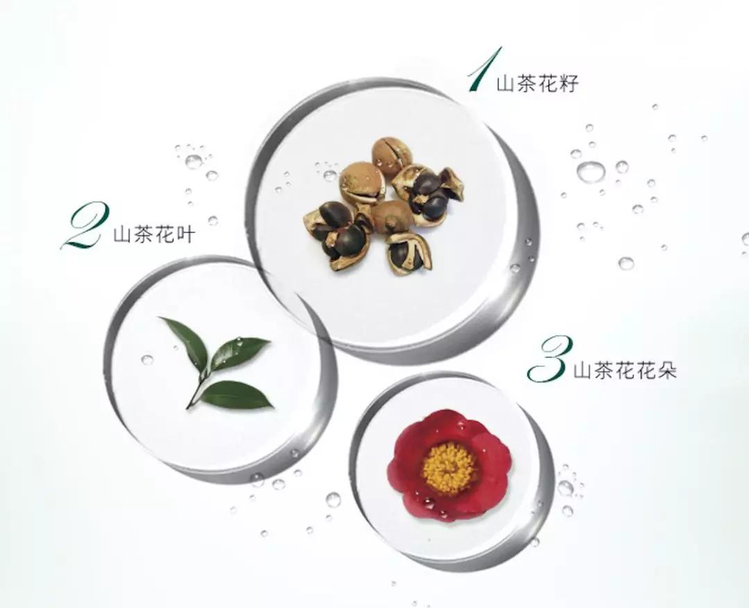 山茶花油真有那么好的护肤效果吗,山茶花护肤