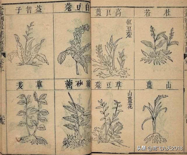 古代的汗蒙药是做什么用的,古代真的有蒙汗药吗