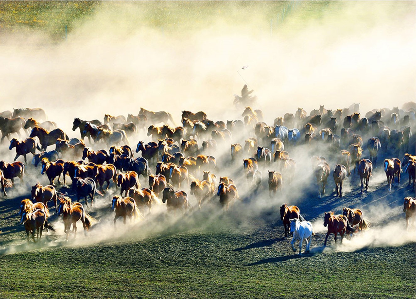 “畜兴旺猪为首,五谷丰登粮领先”,六畜的叠字你都认识吗?
