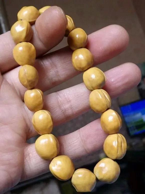 吃剩的水果核不要丢弃,吃剩的樱桃籽能种吗