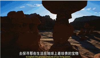 长春家长都领着孩子在干这件事儿，你没做，就落后了！