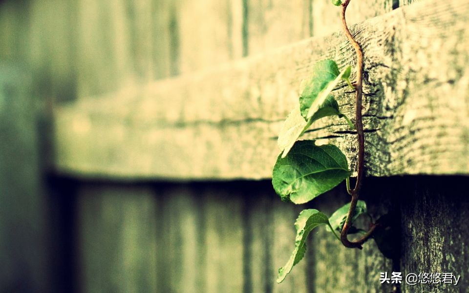 深爱过还想复合吗,深爱过分手的表现