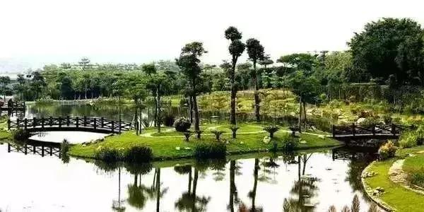 上海免费景点大全最新攻略,上海23个免费游玩的景点攻略