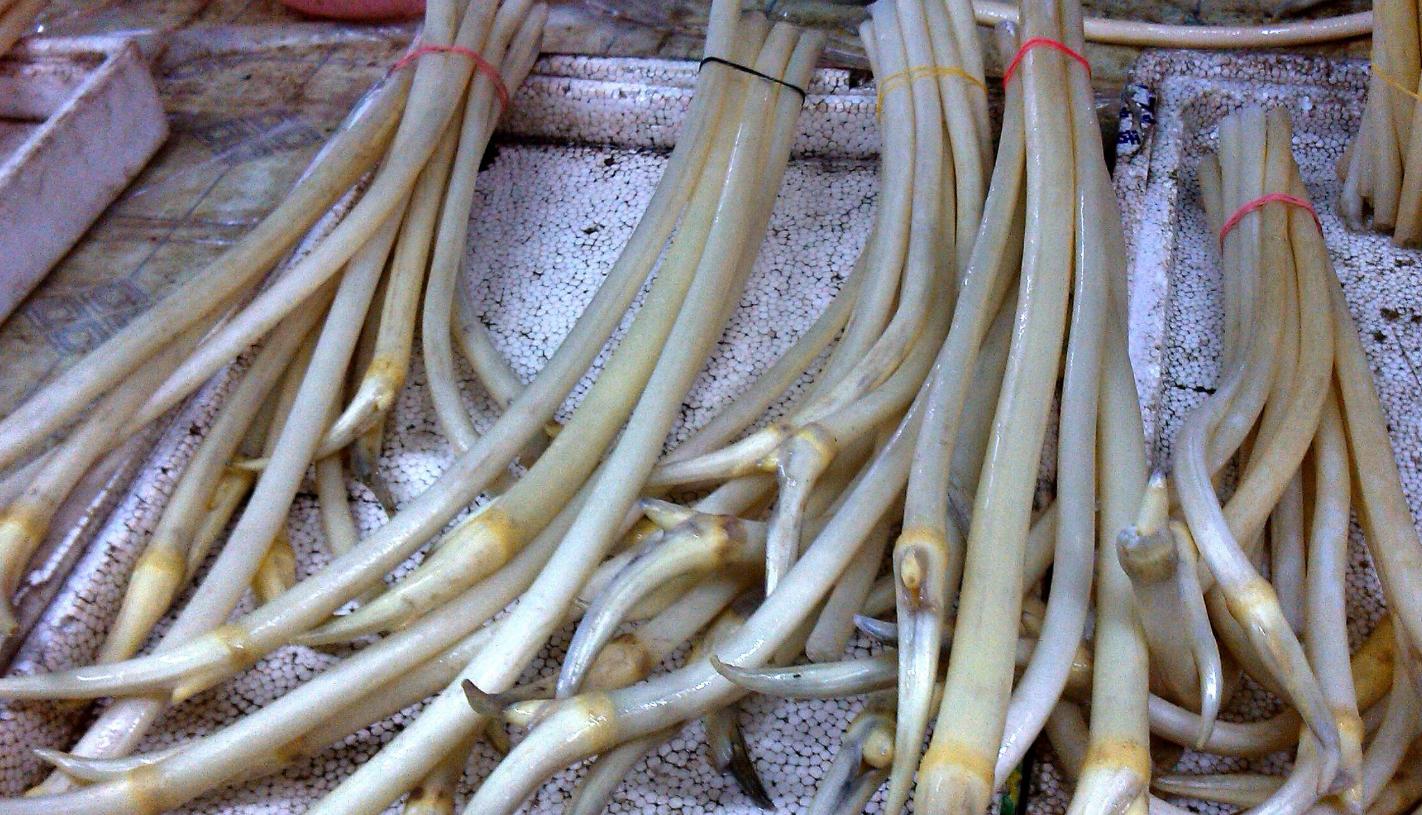 藕带的家常做法小视频大全,藕带的家常做法简单好吃