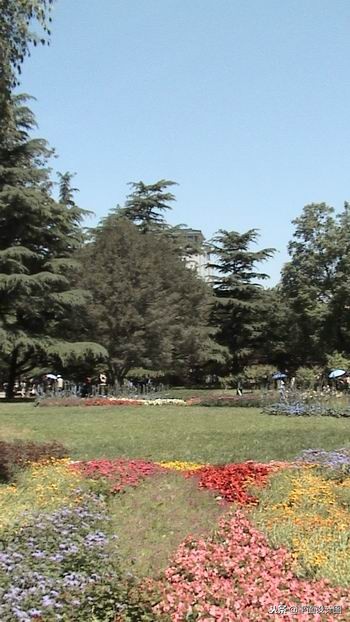 索尼dvd805e摄像机,索尼rx550e摄像机