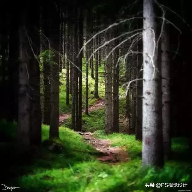 日常照片后期一定要用ps吗,摄影后期修图用ps什么版本