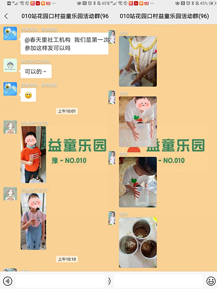 一米长水培豌豆苗,鲜活豌豆苗水培