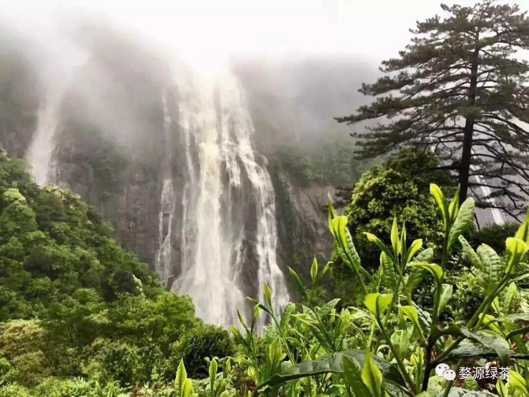 花田喜事｜2020第二届婺源油菜花旅游文化节即将盛装开幕