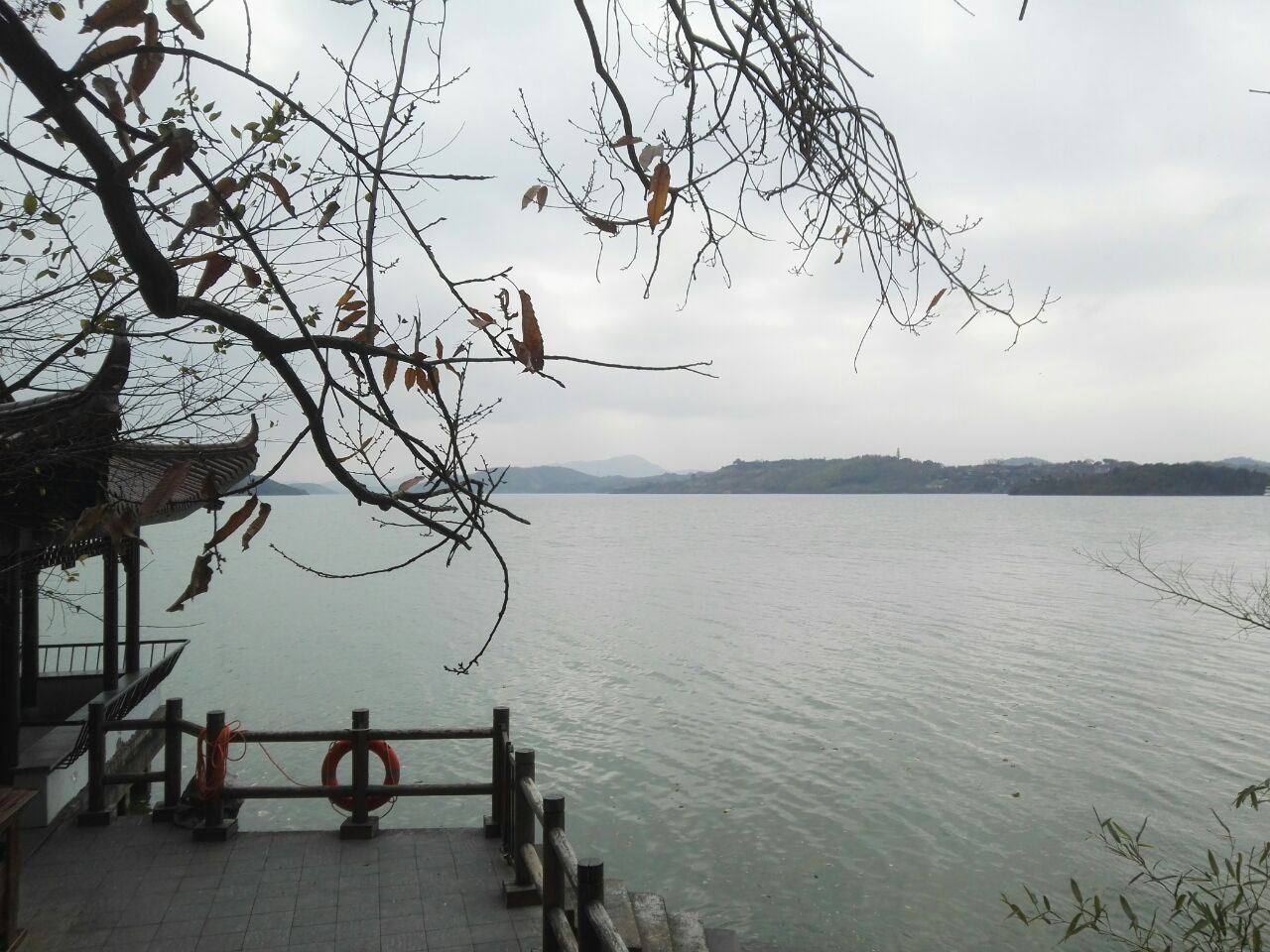 江苏五哥唱歌,江苏4个城市排名