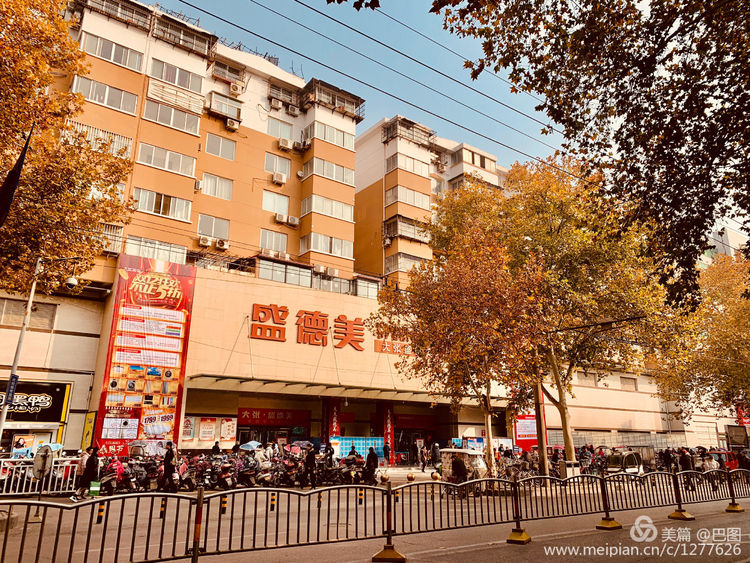 涧西牡丹广场老照片,洛阳牡丹手机拍照