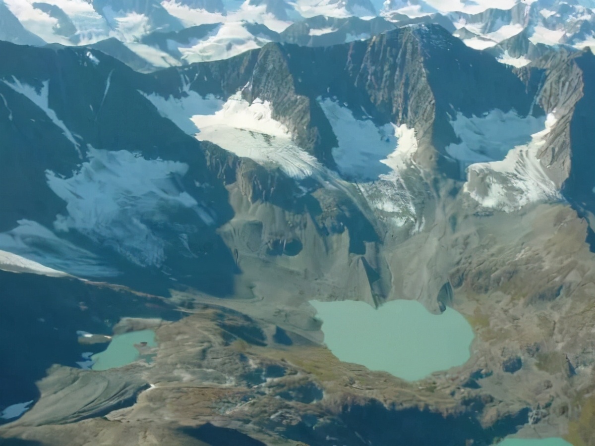 二十一亿年前蓝藻化石,寒武纪蓝藻化石