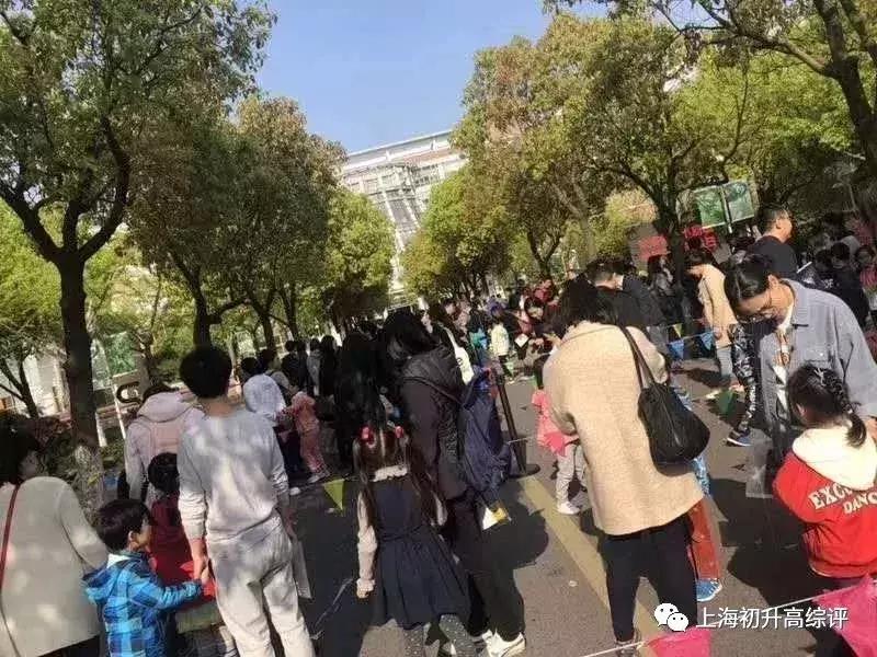 上海实验学校高考,2019上海市实验学校喜报