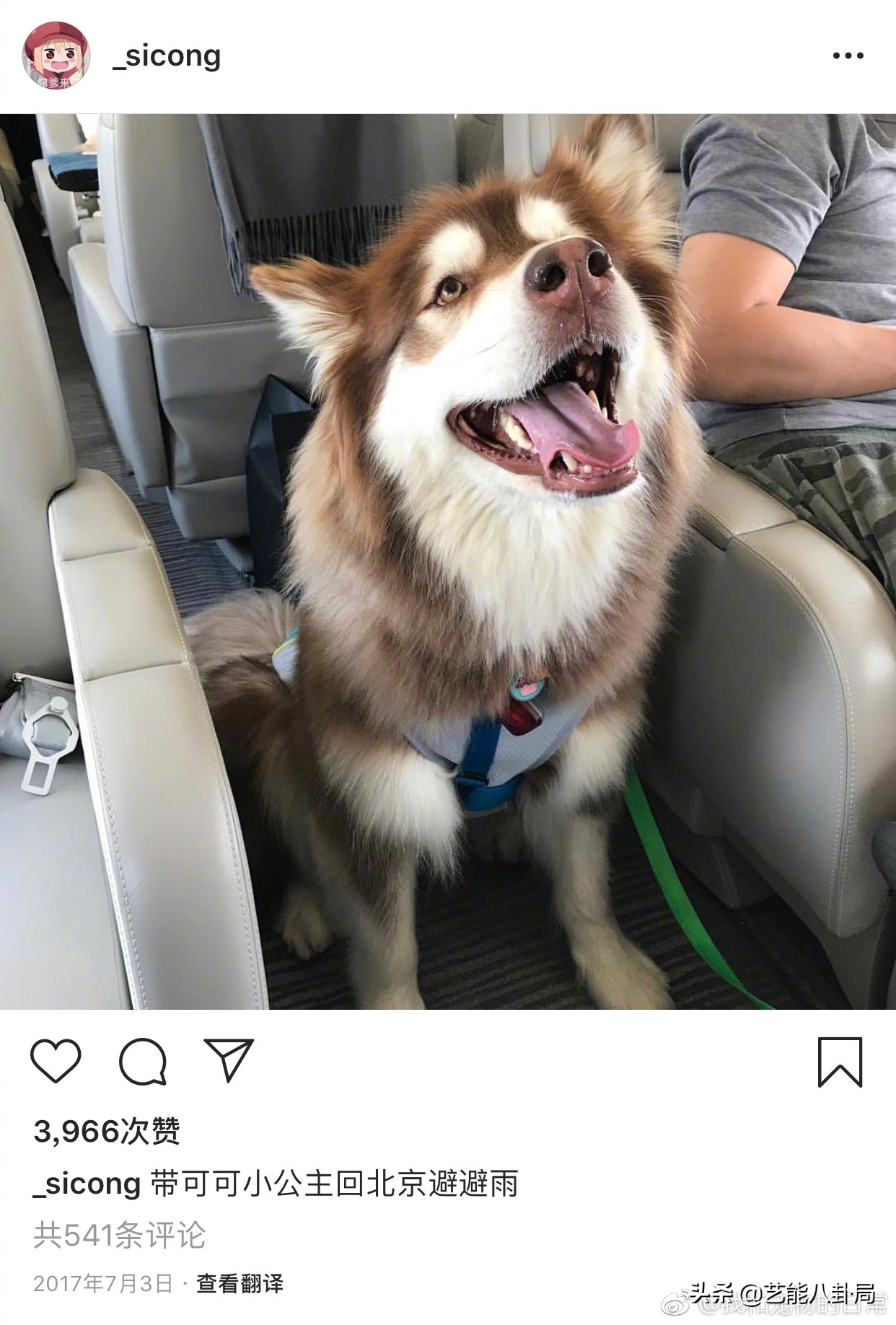 王思聪斥重金买鸭,王思聪自曝斥重金买鸭