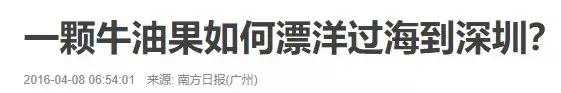 牛油果背后的罪恶,牛油果骗局被揭开不是健康食品