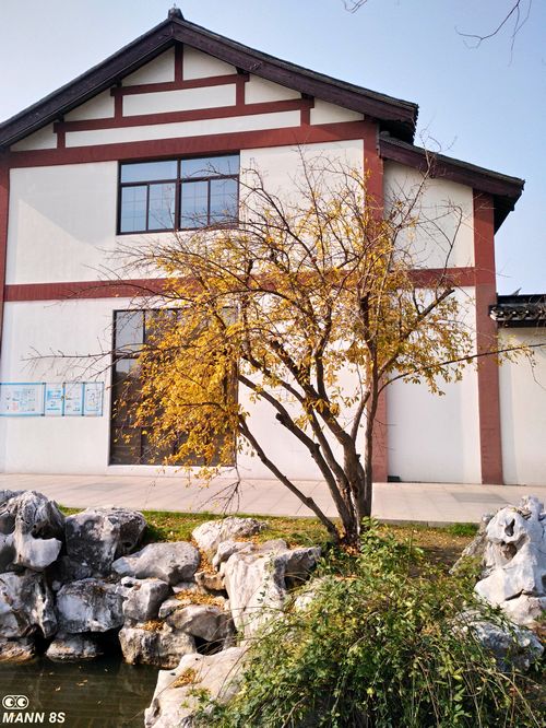 手机掉水里当场拿起来,手机掉入水中还可以正常使用