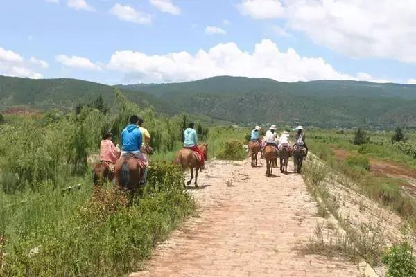 拉市海最快攻略,去拉市海应该怎么玩