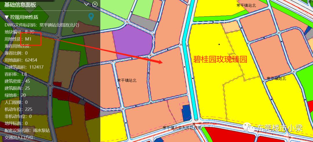 东莞市碧桂园玫瑰臻园,疫情后楼盘首开