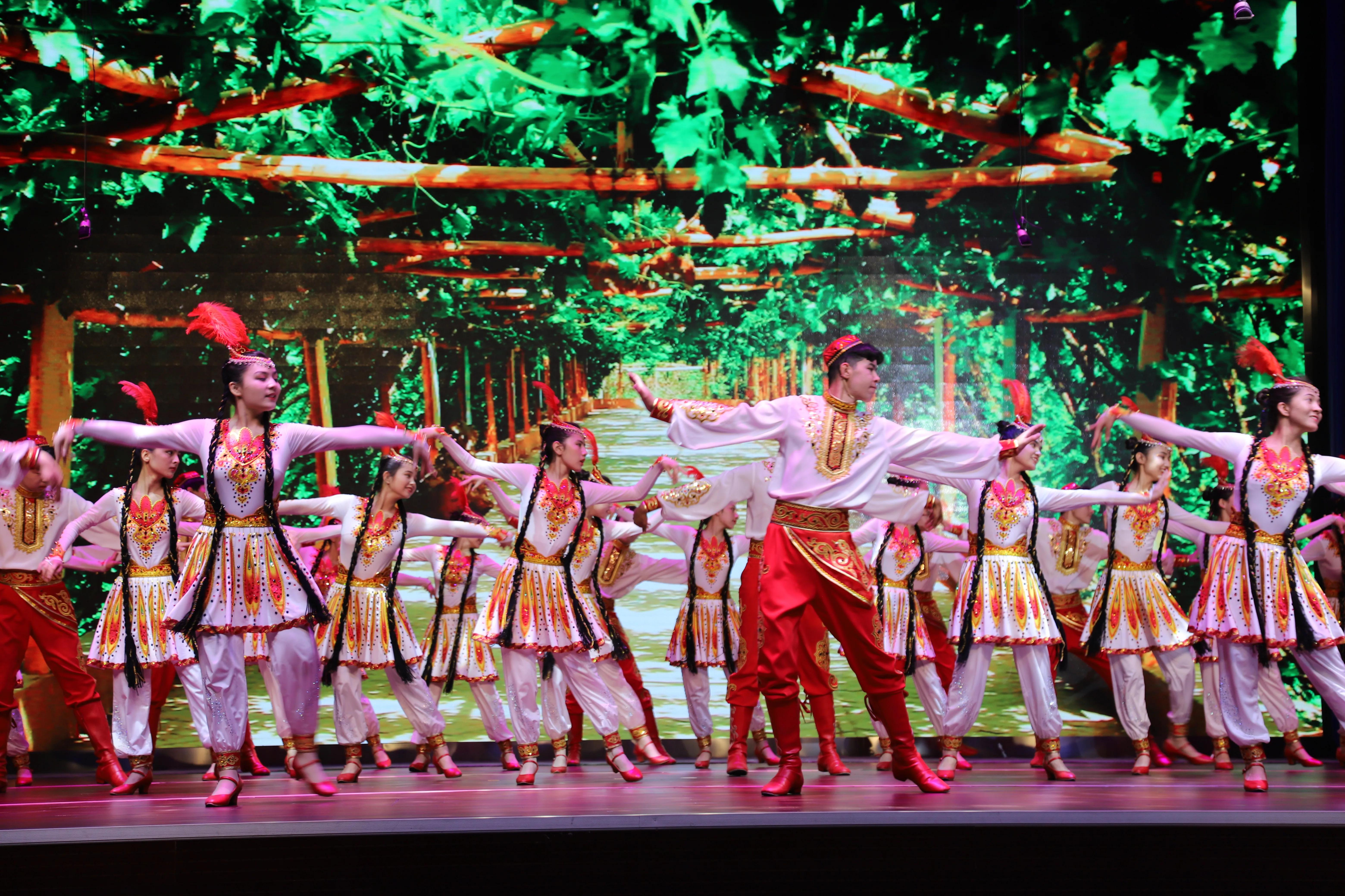 九中教育集团最新信息,九中教育集团金海校区