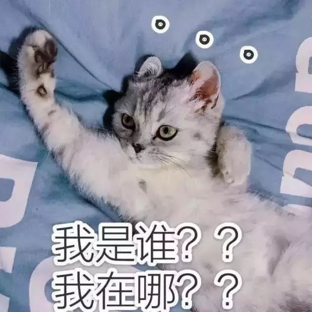 最适合冬天的身体乳,哪款身体乳适合干性皮肤冬天使用