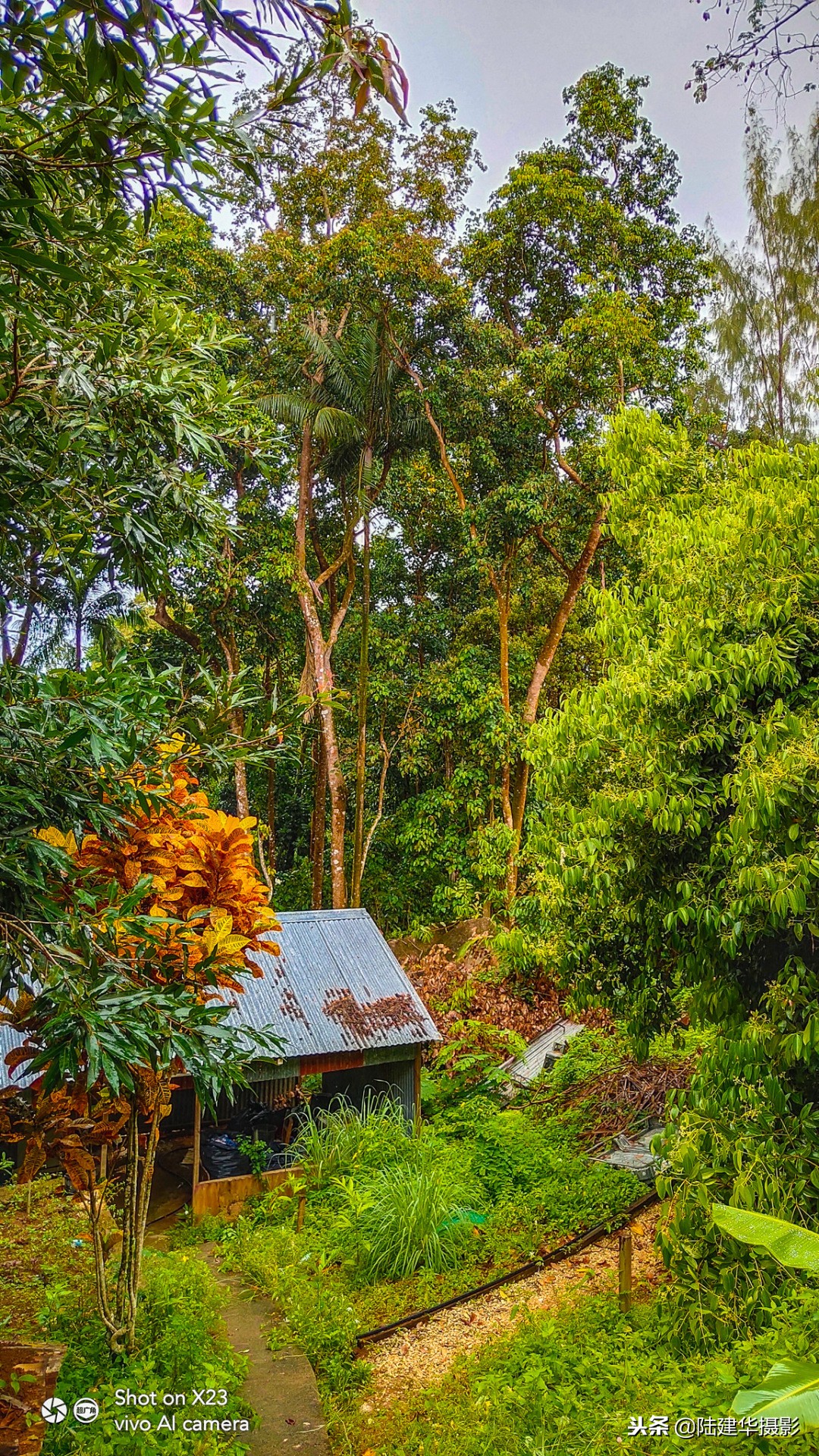 塞舌尔克里奥尔人,人间伊甸园云赏奢华度假地塞舌尔