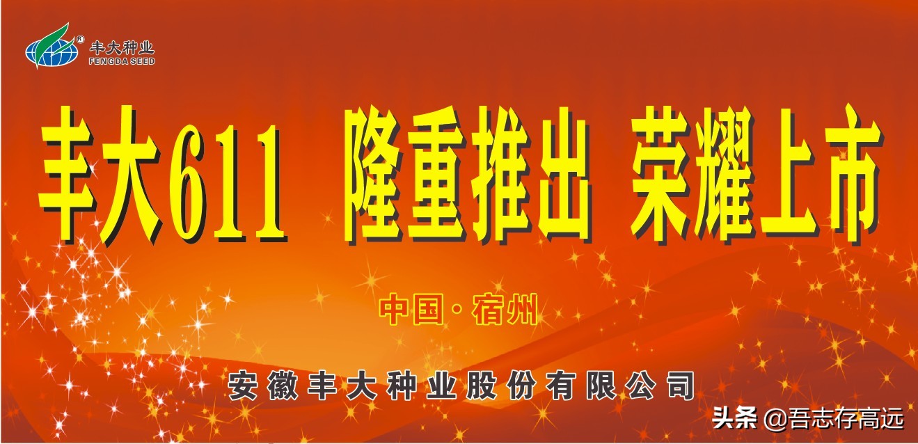 丰大611观摩会,热烈祝贺大会顺利召开视频