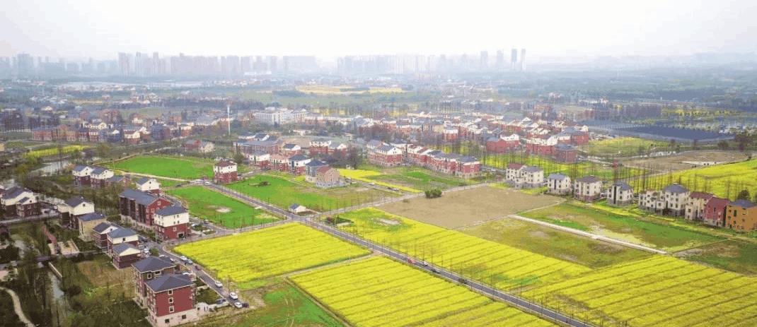 西湖区委书记高国飞：亚运来黄龙观赛，推荐游两景区