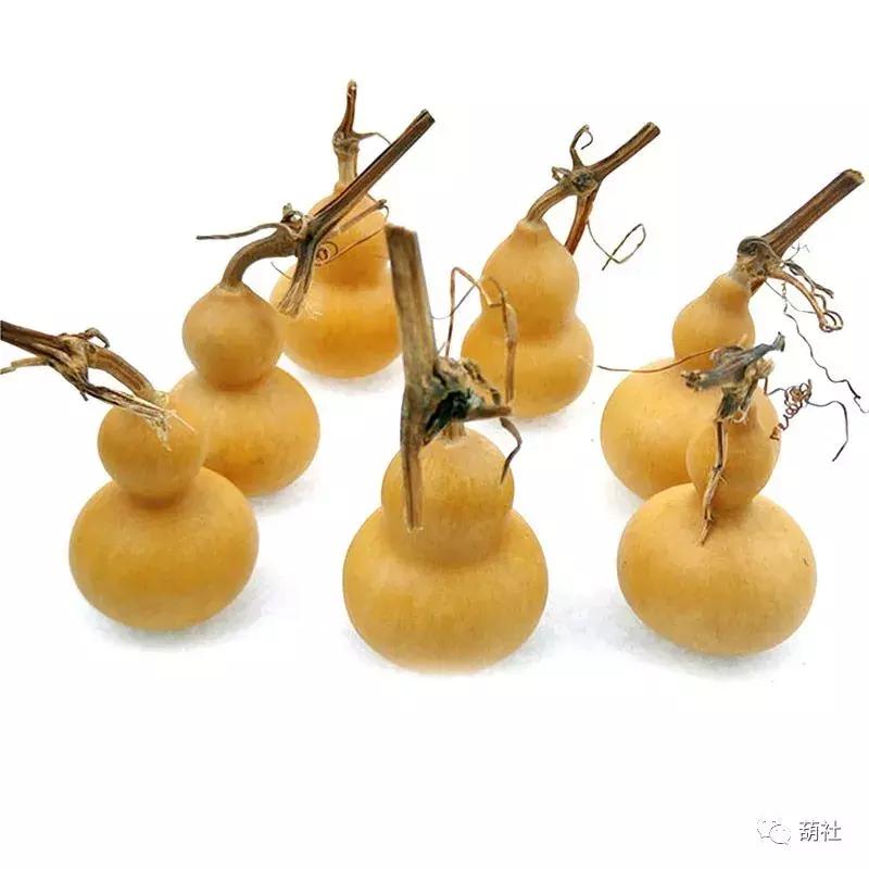 葫芦怎样盘才能色泽鲜亮,葫芦咋盘才红亮