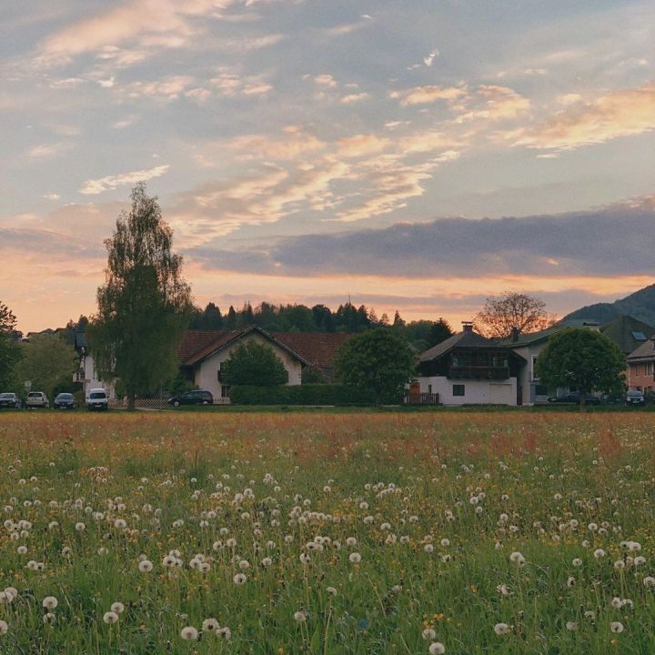 你最舍不得换的壁纸,朋友圈背景图插画