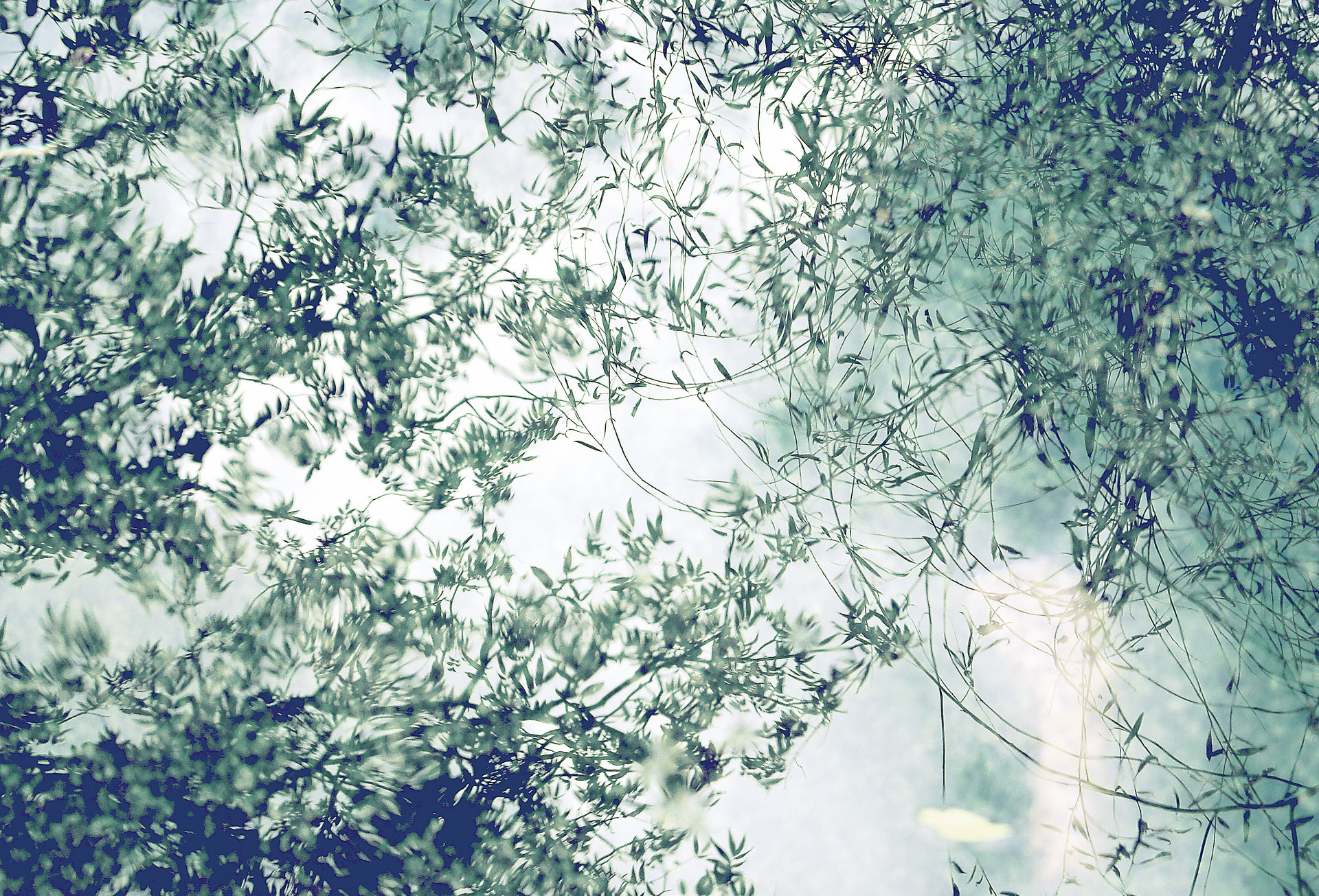 女诗经男楚辞全文,女诗经男楚辞的名字有哪些