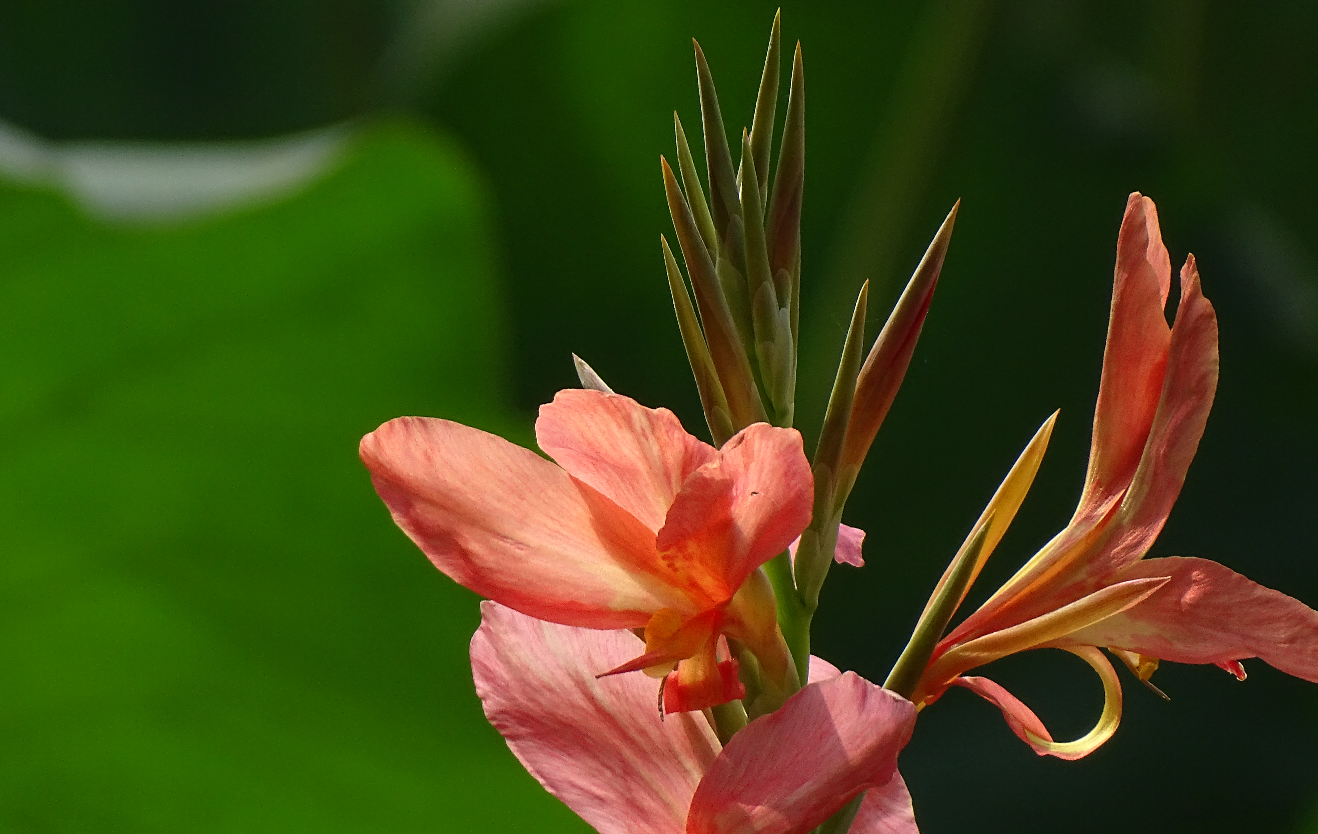 索尼dsc-hx400拍飞机效果,索尼dsc-hx400照片调色