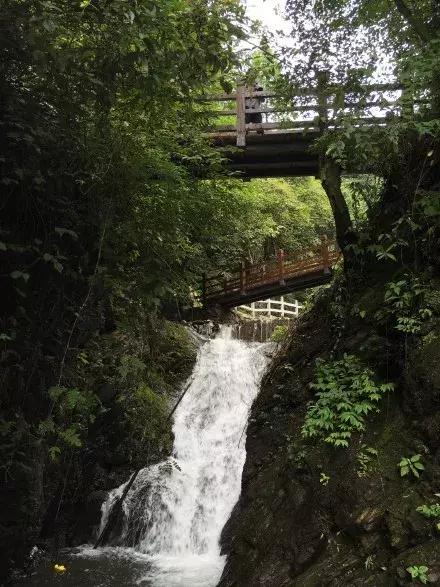 成都秋老虎发威的地方,成都秋老虎最新视频
