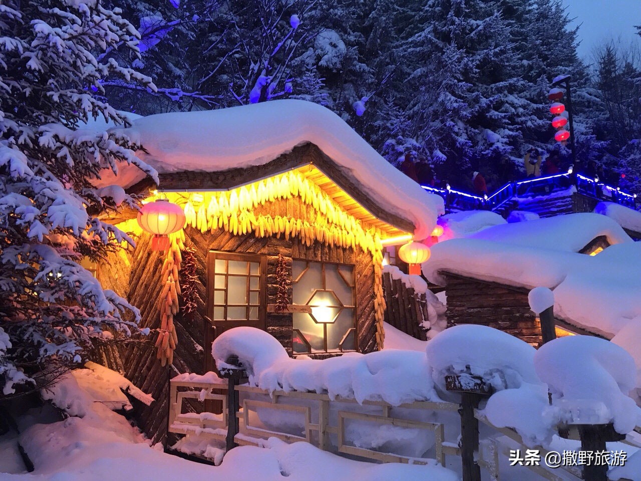 哈尔滨中央大街美食攻略,哈尔滨旅游攻略美食24小时营业