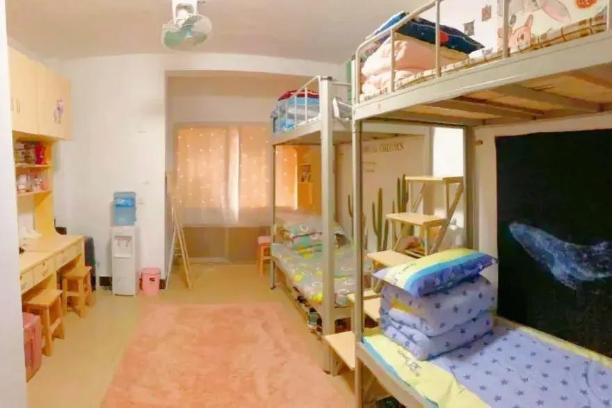 2024湖南商务职业技术学院,湖南商务职业技术学院2024简章