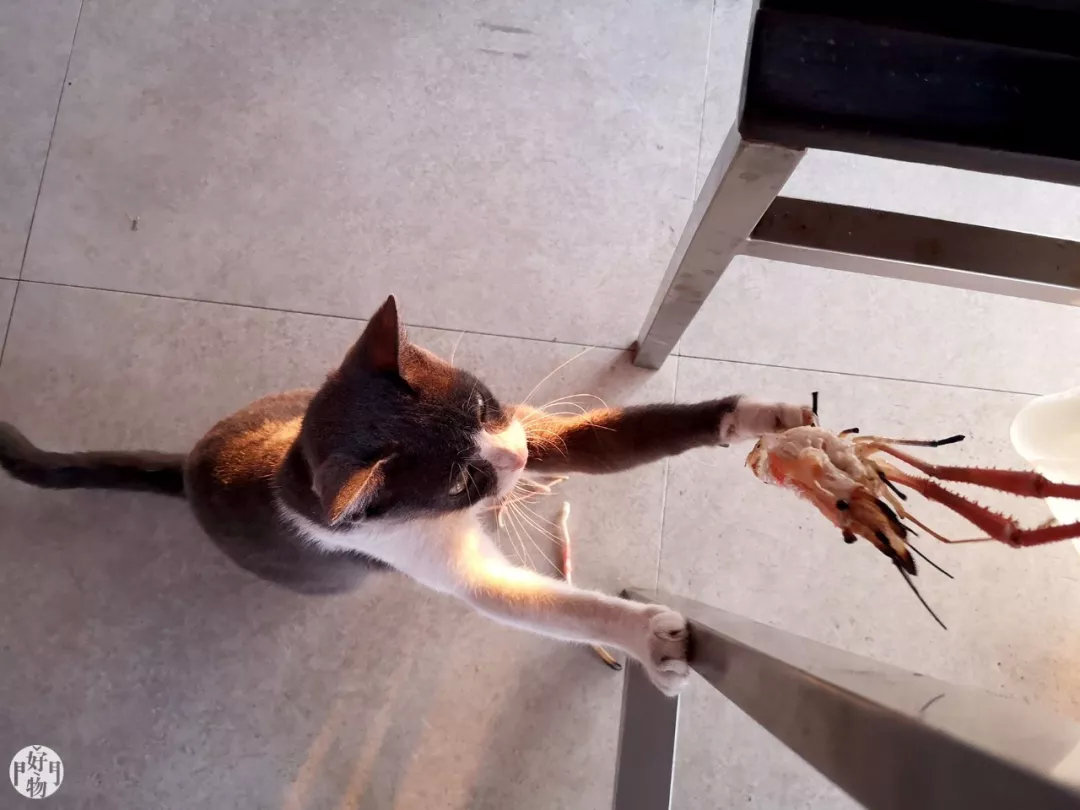 免签去泰国买单程机票可以吗,泰国旅游自费