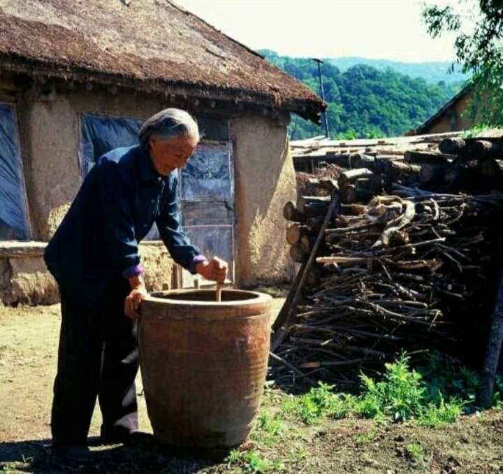 东北大酱块发酵全过程,东北大酱做法在线观看