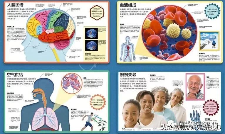 关于小孩子性教育的知识,千万别忽视孩子的性教育