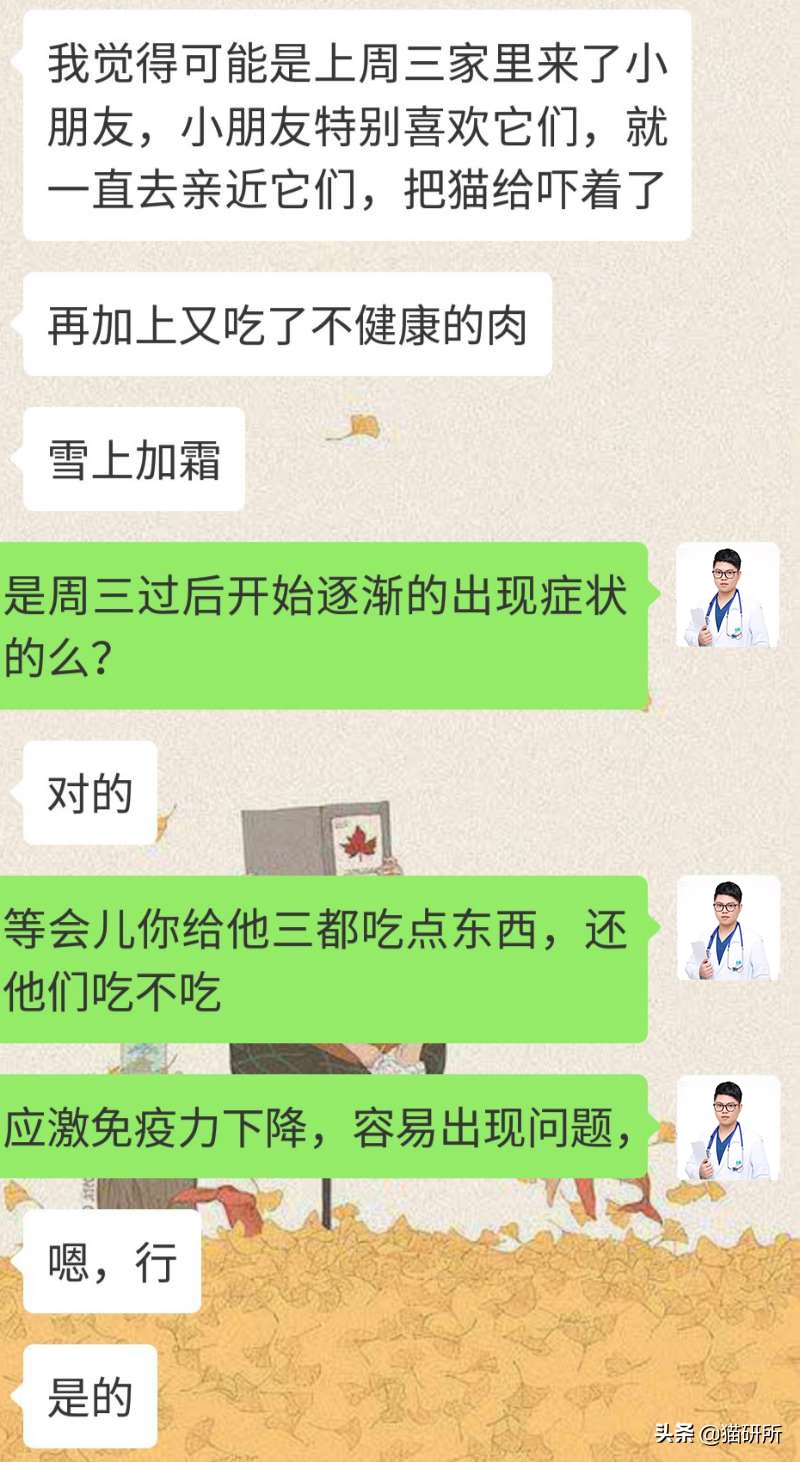 猫咪呕吐一般是什么原因导致的,导致猫咪呕吐的3大原因