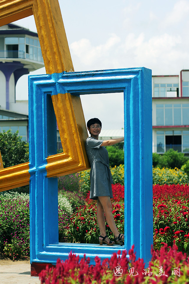 百万葵园有多坑,百万葵园免门票