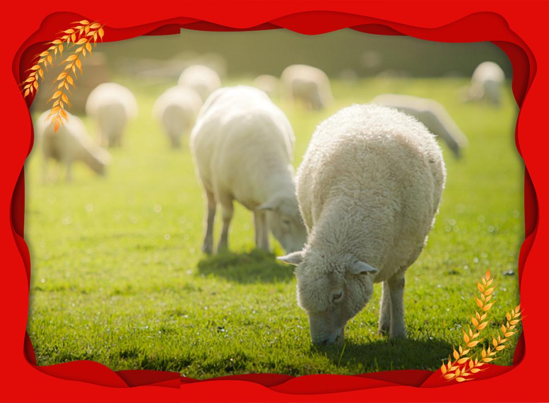 六畜兴旺的对联,六畜兴旺家宅兴