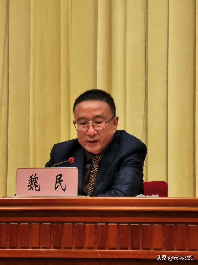 云南名贵特产排名前十名,云南十佳茗品