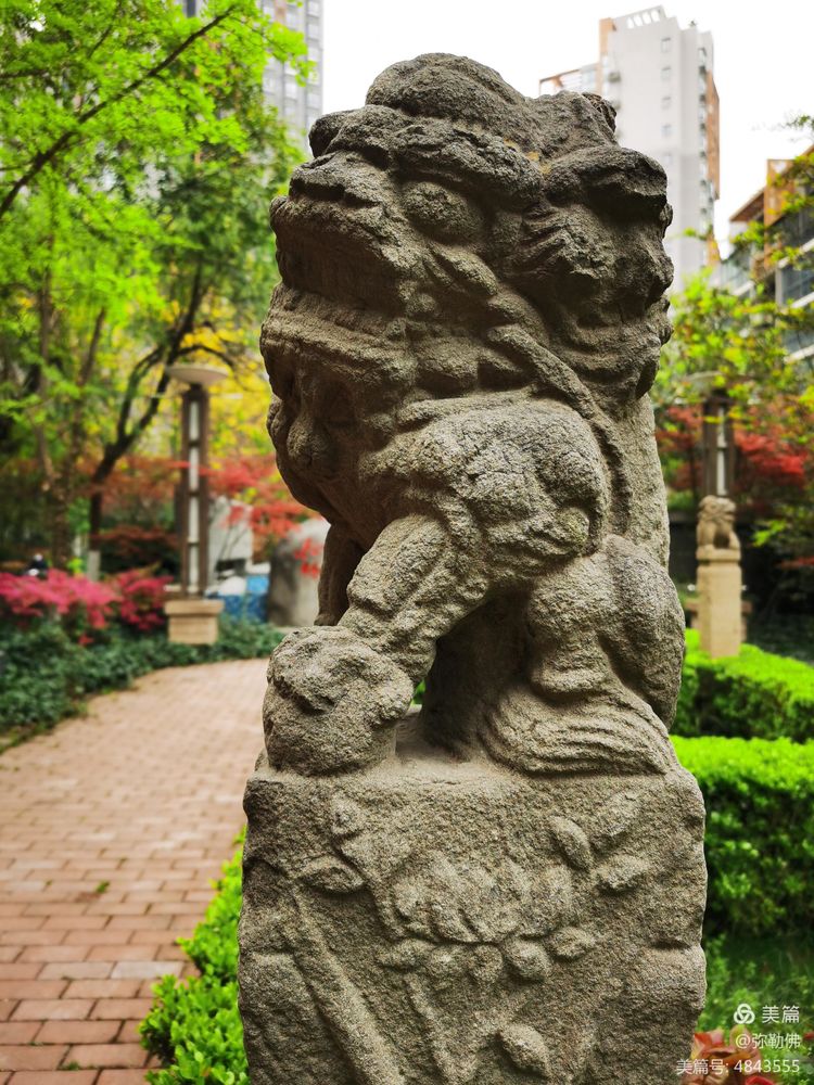 高新枫林华府住房,高新枫林华府小区评测