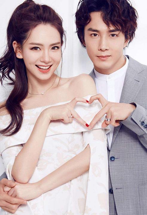 撤侨令下,“赴美生子”的15对明星,欠“摇钱树”刘涛一个道歉