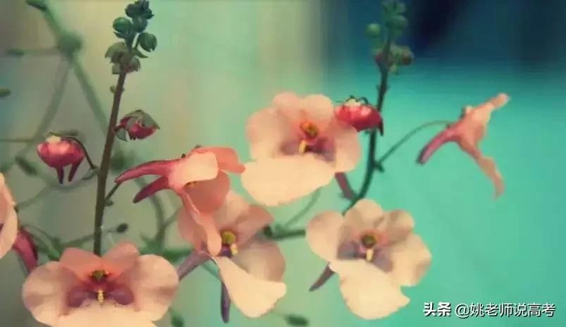 距离高考已经过去100天,距离高考仅剩29天图片